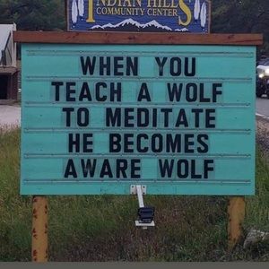 Meet your Posher, Steve